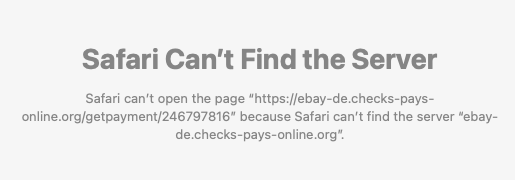 模仿 Ebay 介面的釣魚網站商品頁面